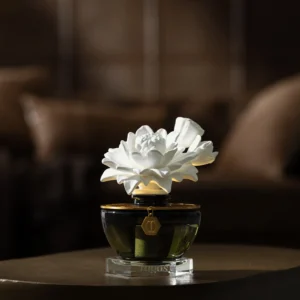 Difuzor de arome TEA & BERGAMOT