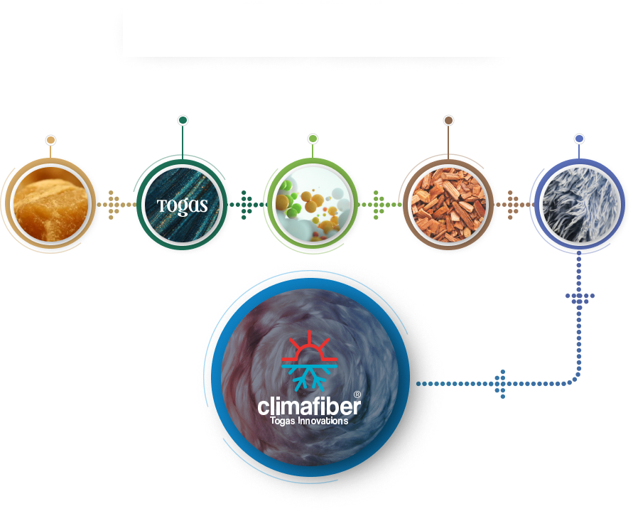 Tehnologia de producție